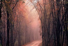 世界杯-全运会|羽毛球:“雅思”夺金谢幕 翁泓阳、王祉怡单打折桂