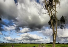 世界杯-全运会|羽毛球:“雅思”夺金谢幕 翁泓阳、王祉怡单打折桂