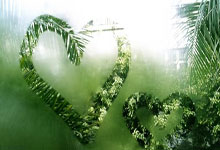 世界杯竞彩-南非法院裁决前总统祖马限期结清律师费