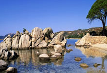 世界杯-全运会｜羽毛球：“雅思”夺金谢幕 翁泓阳、王祉怡单打折桂